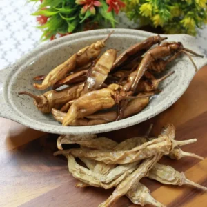 indian spices, masala spice, masalas Indian, spices taste of india, taste powder, india and spices, india and spices, natures spices, flavor spices, foods taste, garam masala