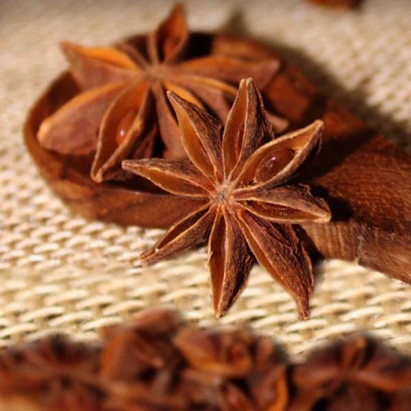 Star Anise (అనాస పువ్వు)