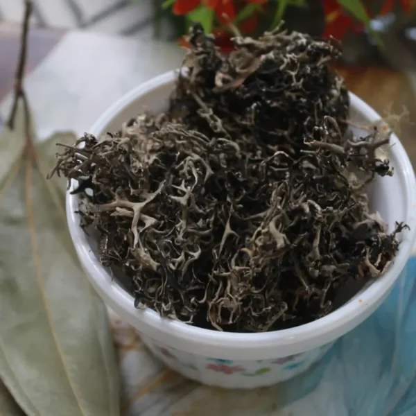 Stone Flower (బిర్యానీ పువ్వు)